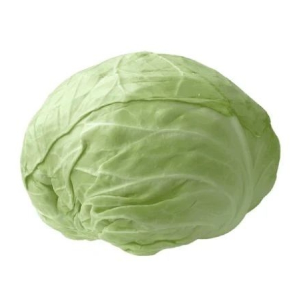 ملفوف لف