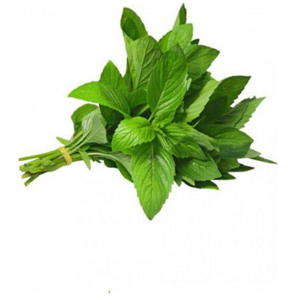 ضمة نعنع