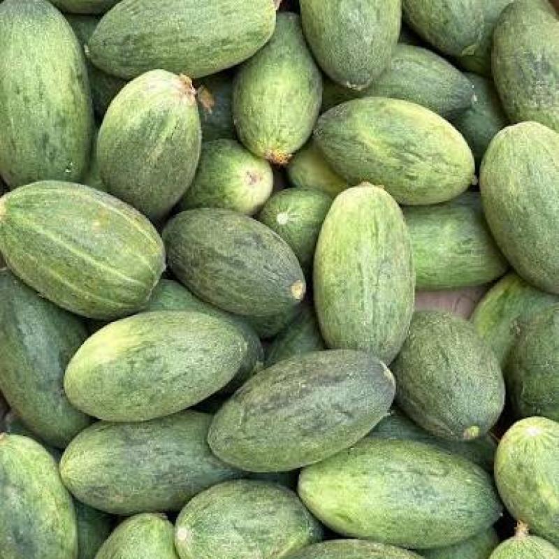 بعاجير
