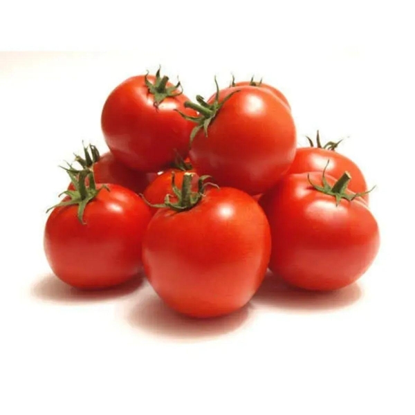 بندوره حماموت