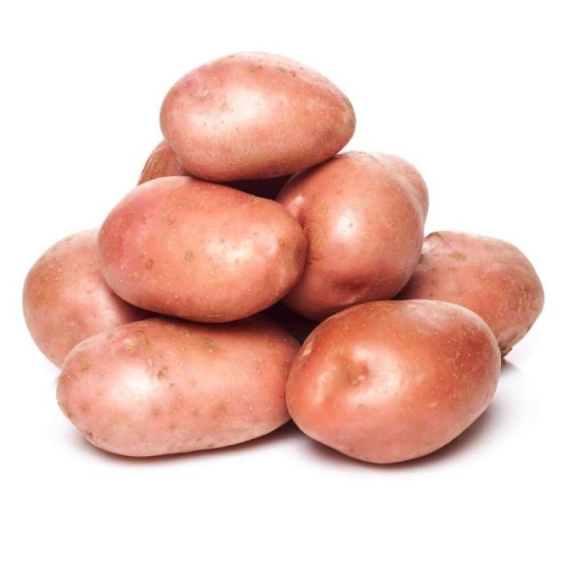 بطاطا احمر