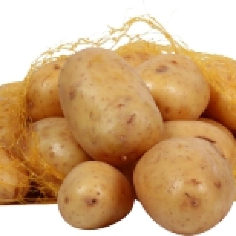 بطاطا اصفر
