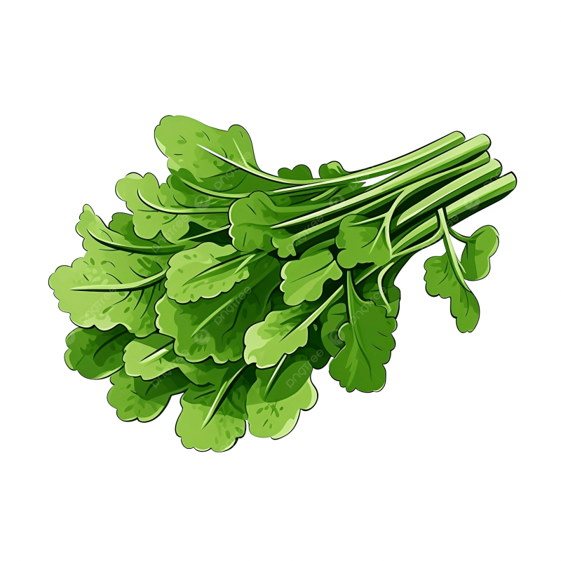 جرجير