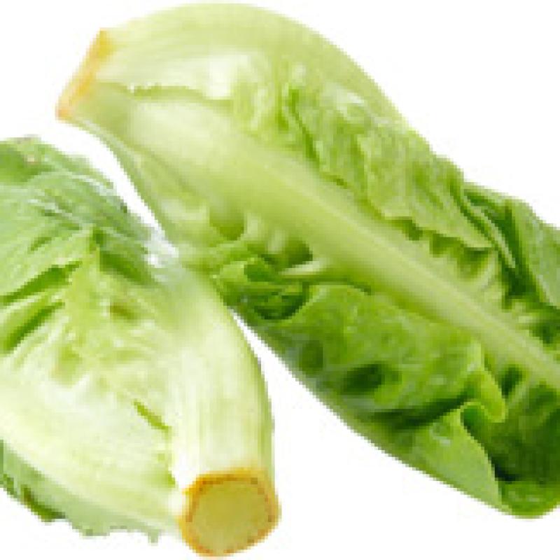 خس
