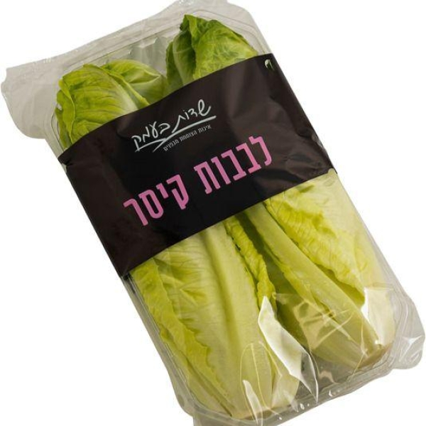 خس اروز
