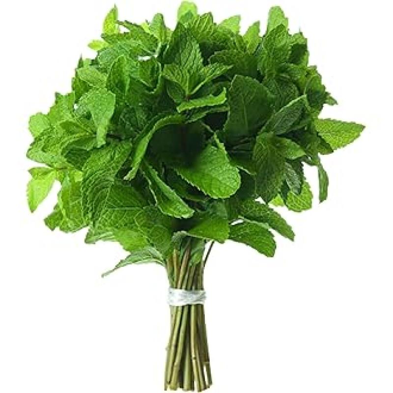 رزمة نعنع