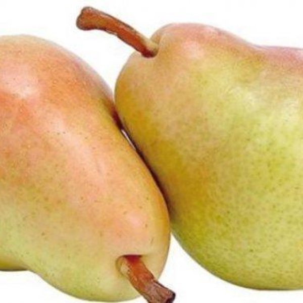 نجاص اصفر