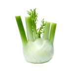 شومر