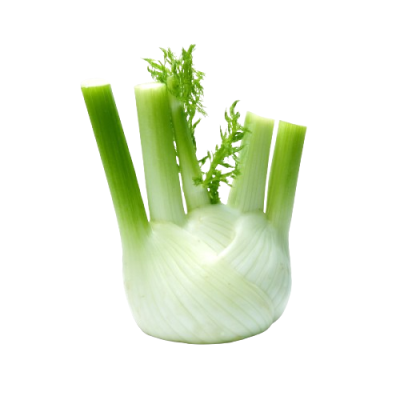 شومر