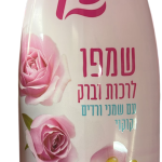 شامبو روز