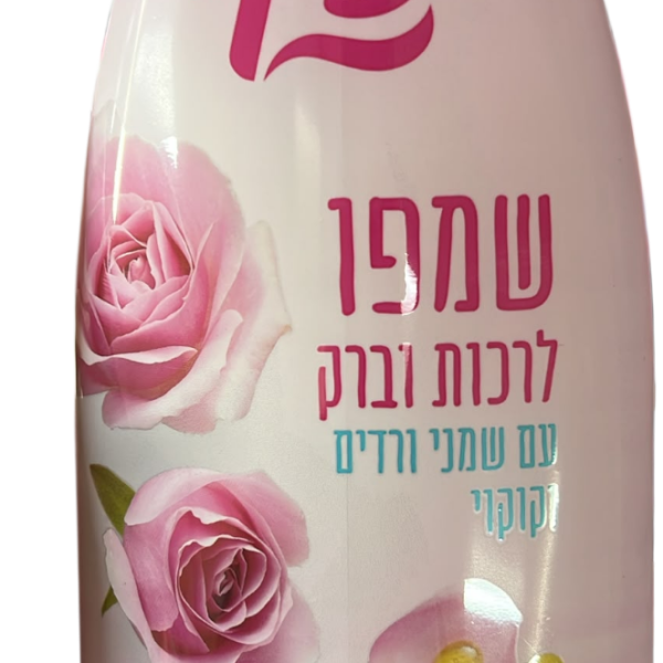 شامبو روز