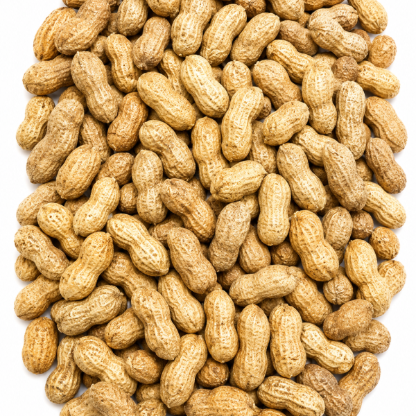 جوز