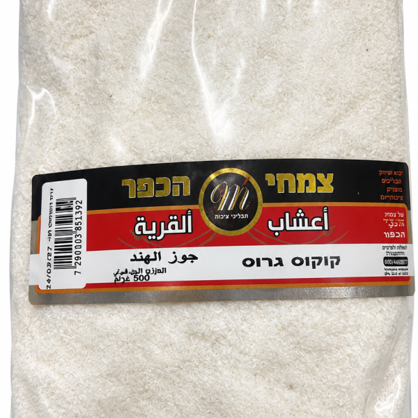 جوز الهند