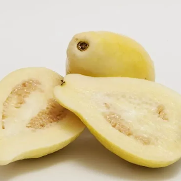 جوافة