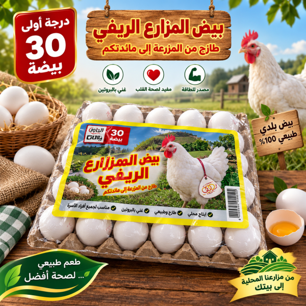 كرتونه بيض كبيره