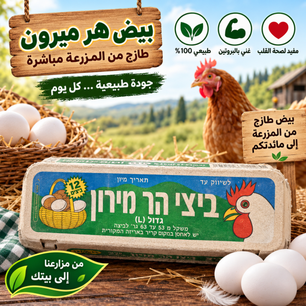 كرتونه بيض صغيره